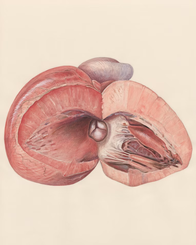 ESOPHAGEAL CANCER