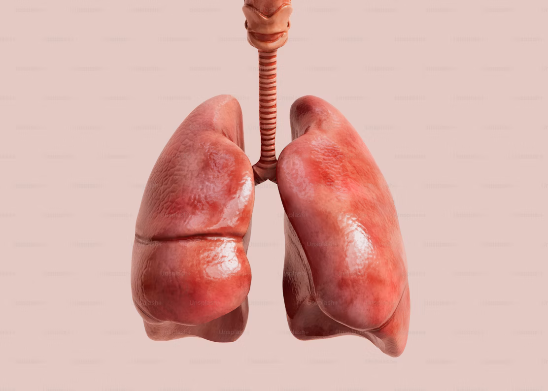 LUNG CANCER